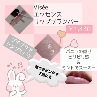 エッセンス リッププランパー/Visée/リップグロスを使ったクチコミ（3枚目）