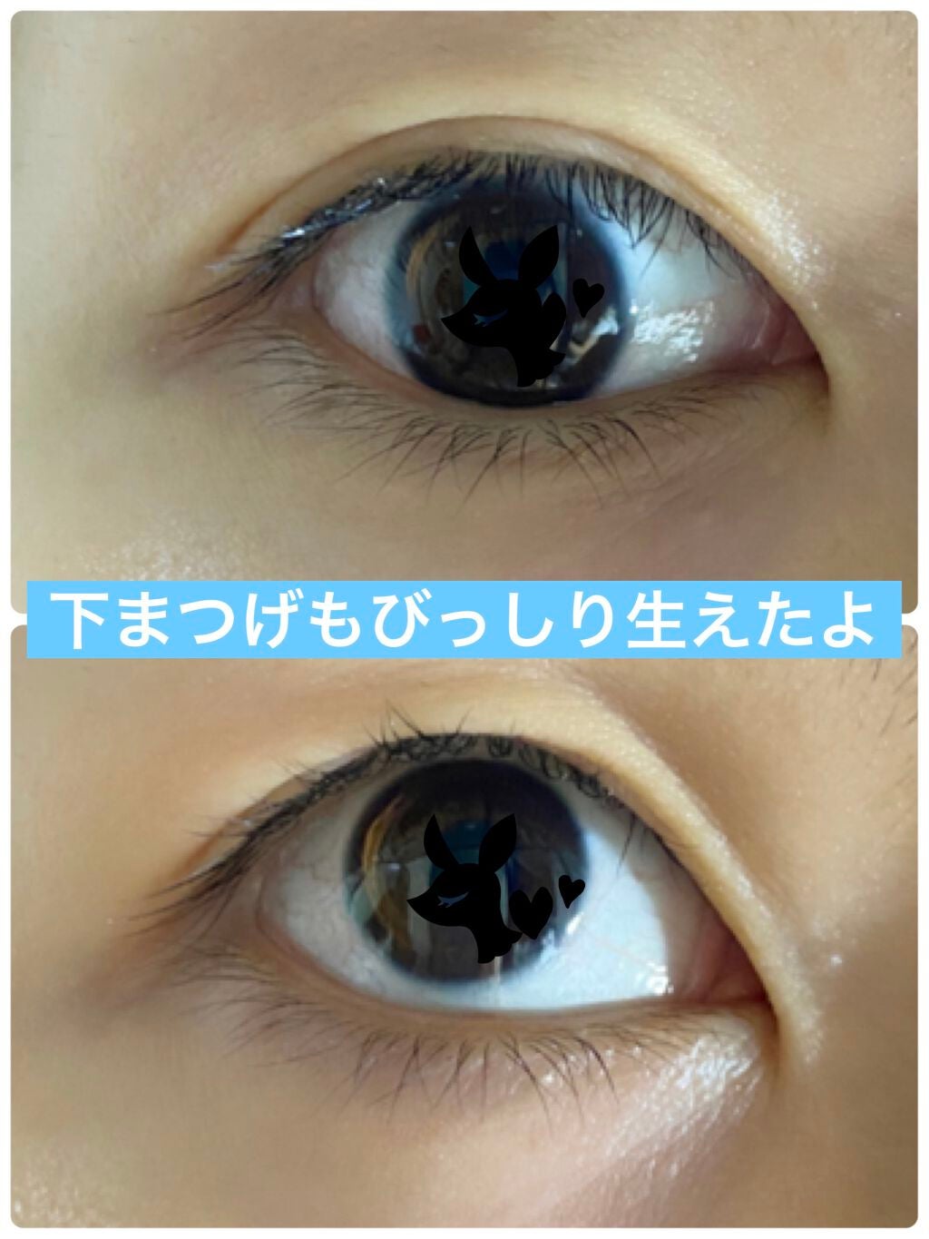 アデノバイタル アイラッシュセラム/資生堂プロフェッショナル/まつげ美容液を使ったクチコミ(4枚目)