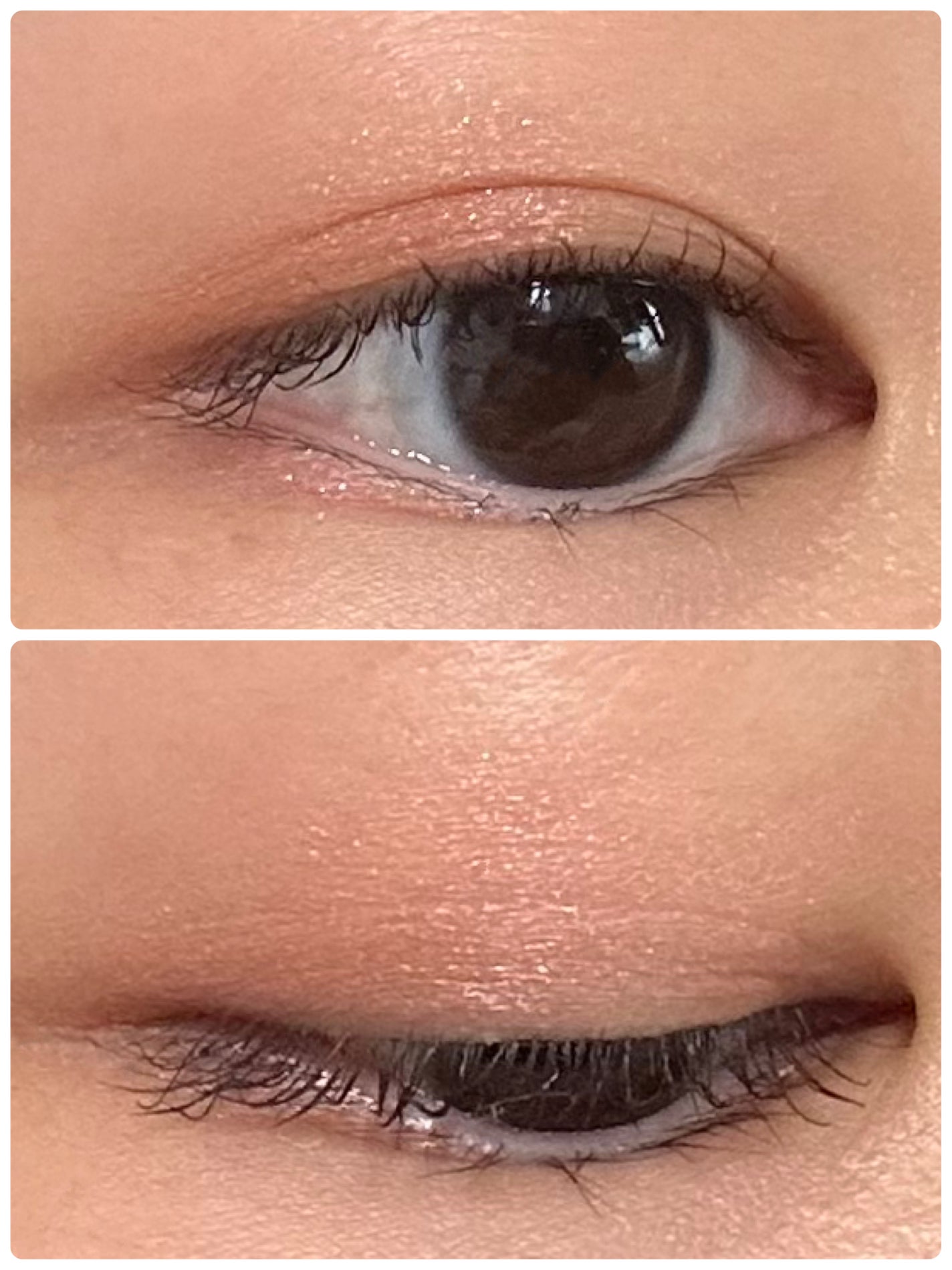 デザイニングブラウンアイズ/KATE/アイシャドウパレットを使ったクチコミ(2枚目)