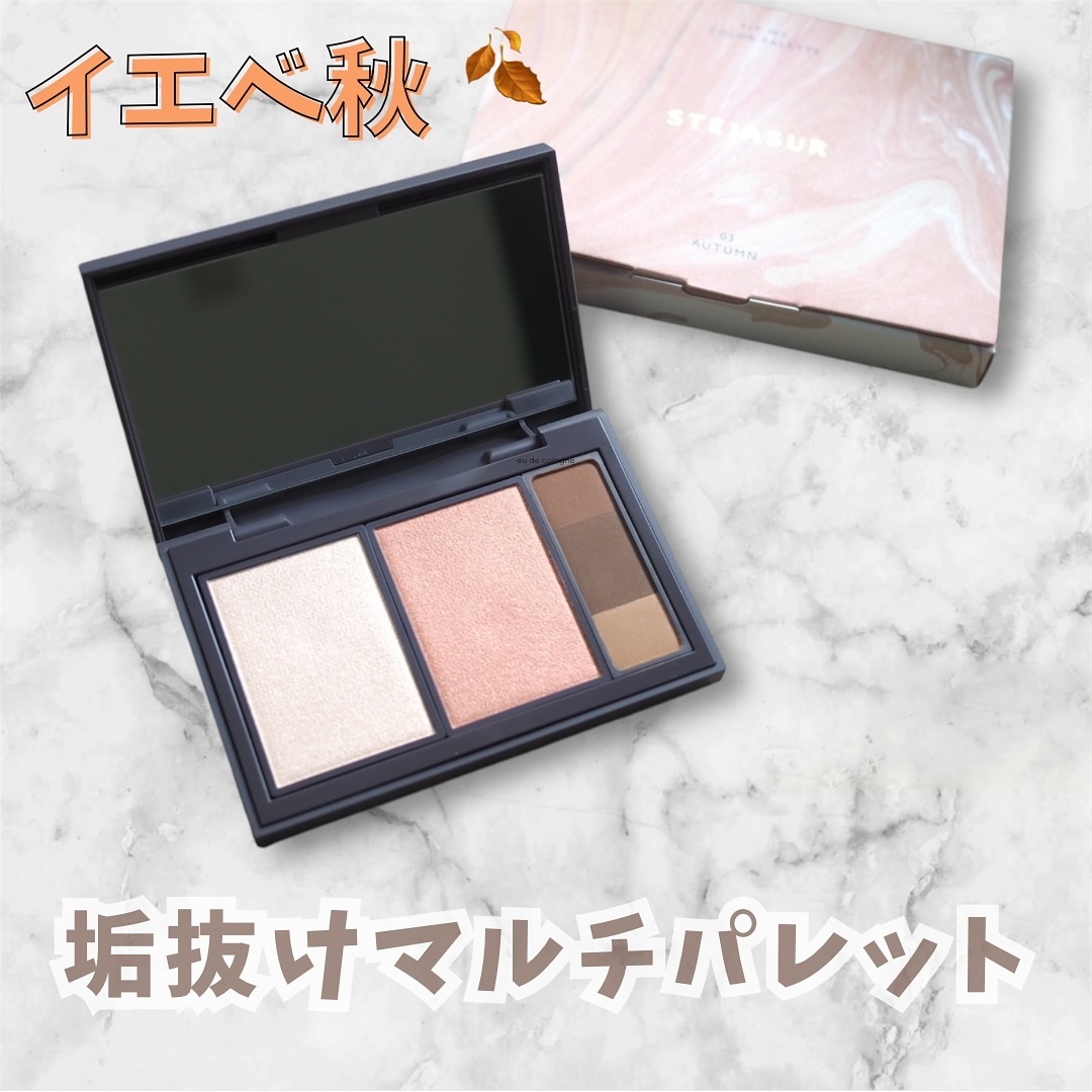 フィット my カラーパレット/STEIASUR（ステイアシュール）/マルチパレットを使ったクチコミ（1枚目）