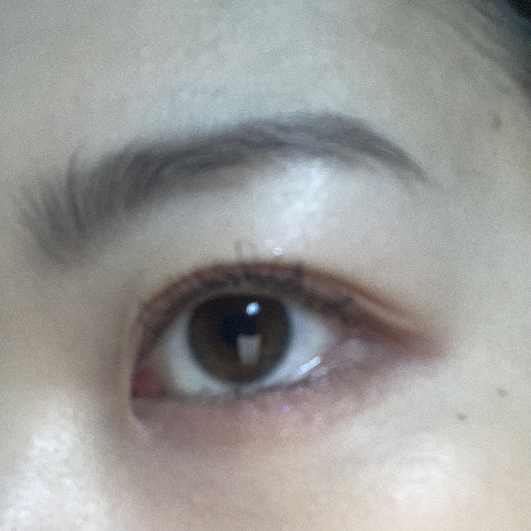 メイクアップコフレ/グランティアEX/メイクアップキットを使ったクチコミ（2枚目）