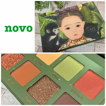 novo   アイシャドウパレット/NOVO/アイシャドウパレットを使ったクチコミ(1枚目)