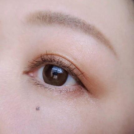 プレスド アイシャドー(レフィル) F ラスティブラウン 865/shu uemura/単色アイシャドウの画像