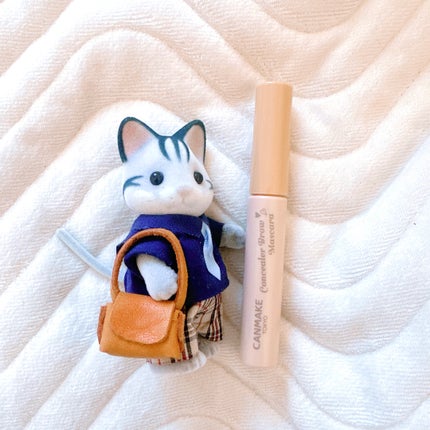 コンシーラーブロウマスカラ/キャンメイク/その他アイブロウを使ったクチコミ(1枚目)