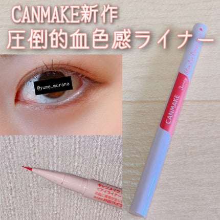 3wayスリムアイルージュライナー/キャンメイク/リキッドアイライナーを使ったクチコミ(1枚目)