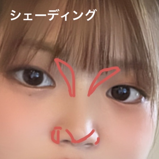 ナチュラルマットシェーディング/CEZANNE/シェーディングを使ったクチコミ（2枚目）