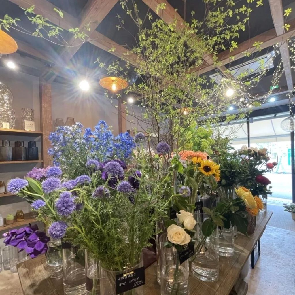 ハナノヒ サブスク/ハナノヒ/その他を使ったクチコミ(2枚目)