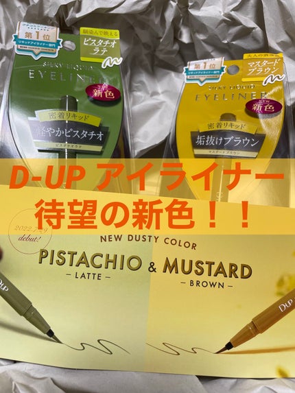 シルキーリキッドアイライナーWP/D-UP/リキッドアイライナーを使ったクチコミ(1枚目)