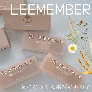 3色マロンアイシャドウパレット/LEEMEMBER/アイシャドウパレットを使ったクチコミ（1枚目）