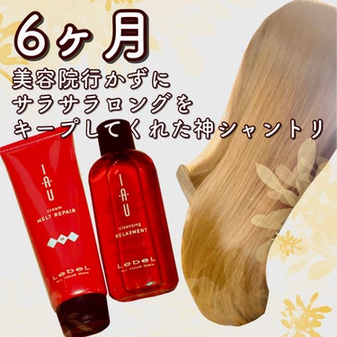 イオ クリーム メルトリペア 200ml/LebeL/洗い流すヘアトリートメントを使ったクチコミ（1枚目）