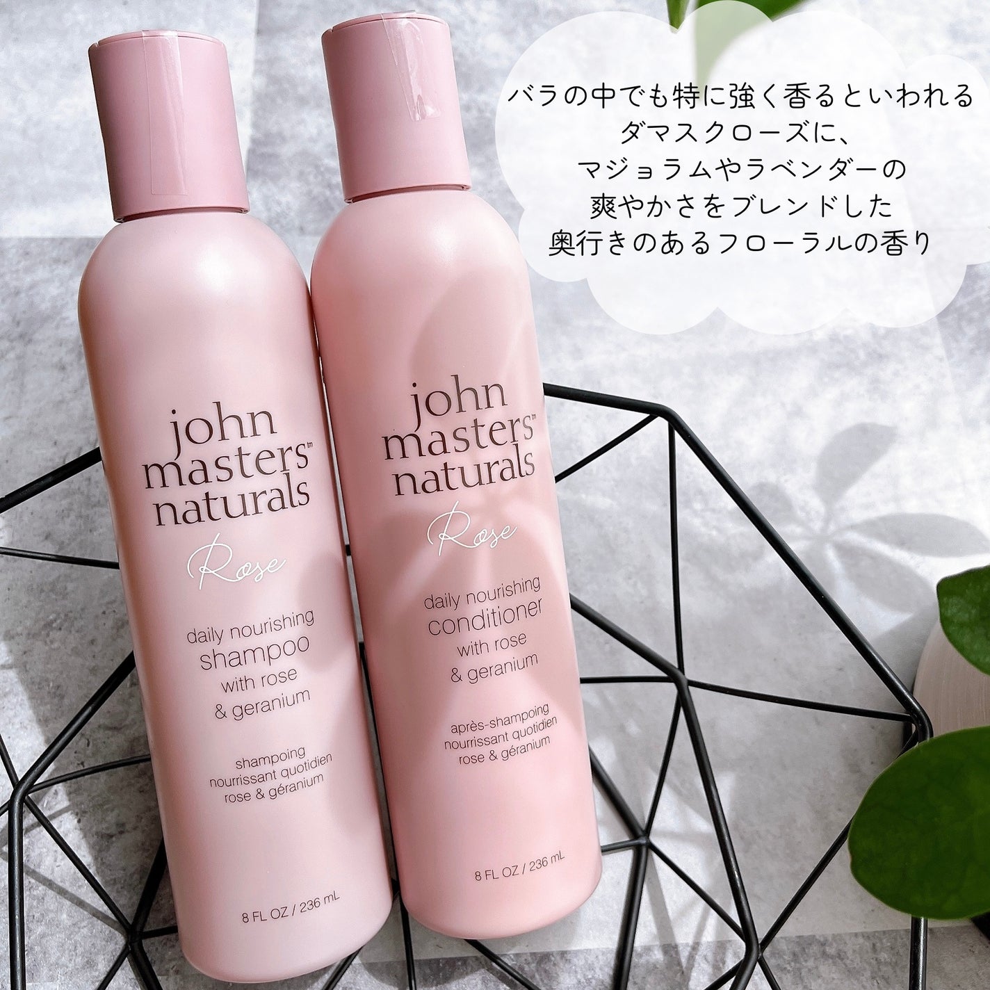 けっぴー♡フォロバ100 on LIPS 「𓆸𓂃FallinRose𓂃johnmastersorgan..」(2枚目)