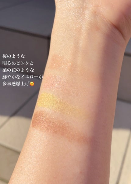 ニュアンスカラーアイズ/Enamor/アイシャドウパレットを使ったクチコミ(5枚目)