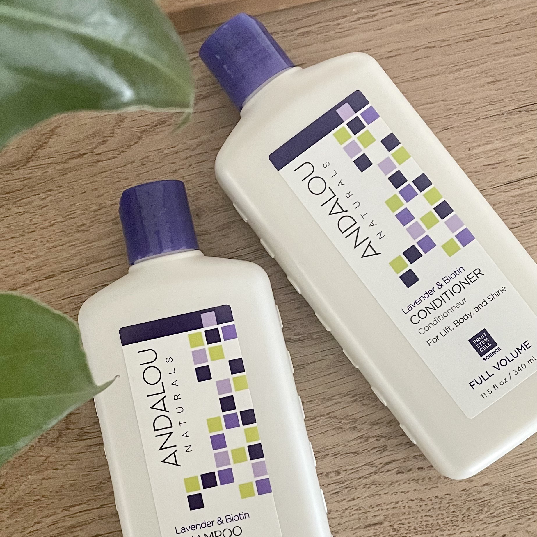 Argan Stem Cell シャンプー・コンディショナー/Andalou Naturals/シャンプー・コンディショナーを使ったクチコミ（1枚目）