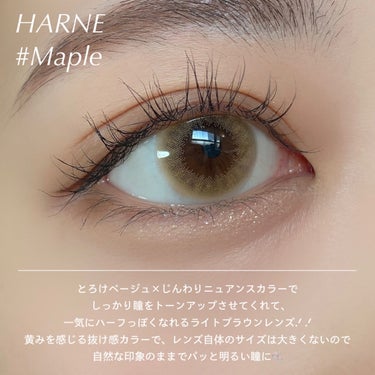 HARNE 1day メープル/HARNE/ワンデー（１DAY）カラコンの画像