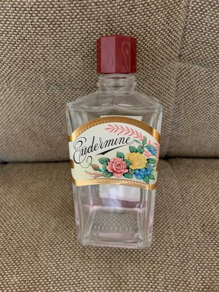 オイデルミン(N)/SHISEIDO/化粧水を使ったクチコミ(1枚目)