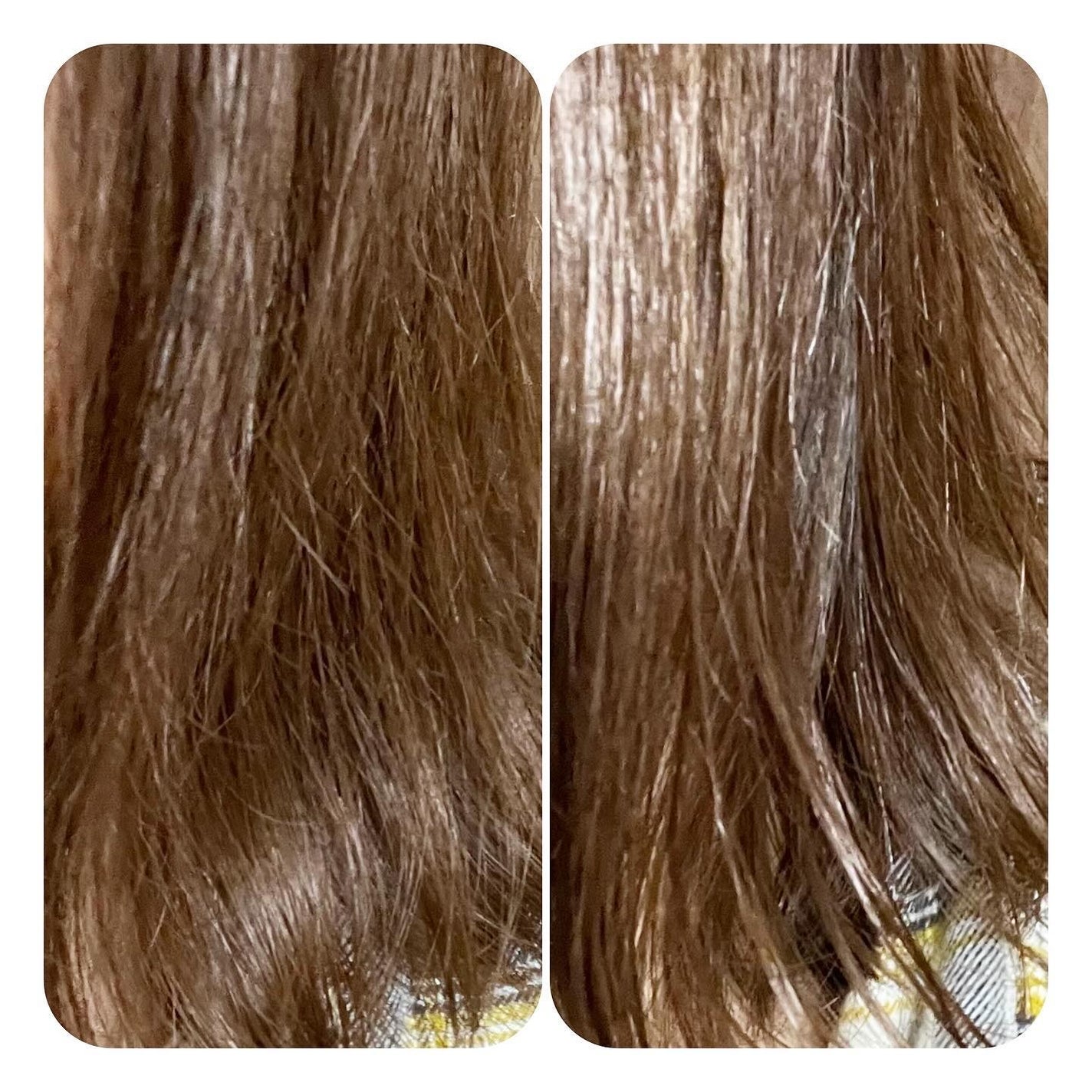 リチュアルヘアオイルラベンダー&パチョリ/AROMATICA/ヘアオイルを使ったクチコミ(5枚目)