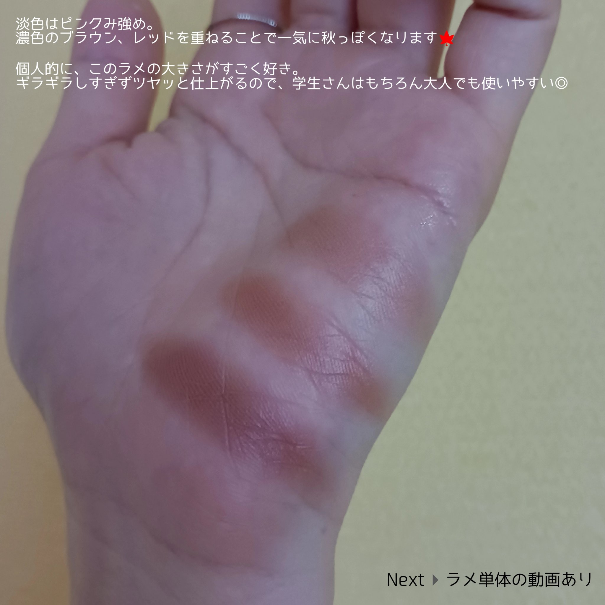 シルキースフレアイズ（マットタイプ）/キャンメイク/アイシャドウパレットを使ったクチコミ（2枚目）