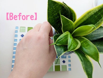 スキンアクア トーンアップUVエッセンス/スキンアクア/日焼け止めクリームを使ったクチコミ(2枚目)