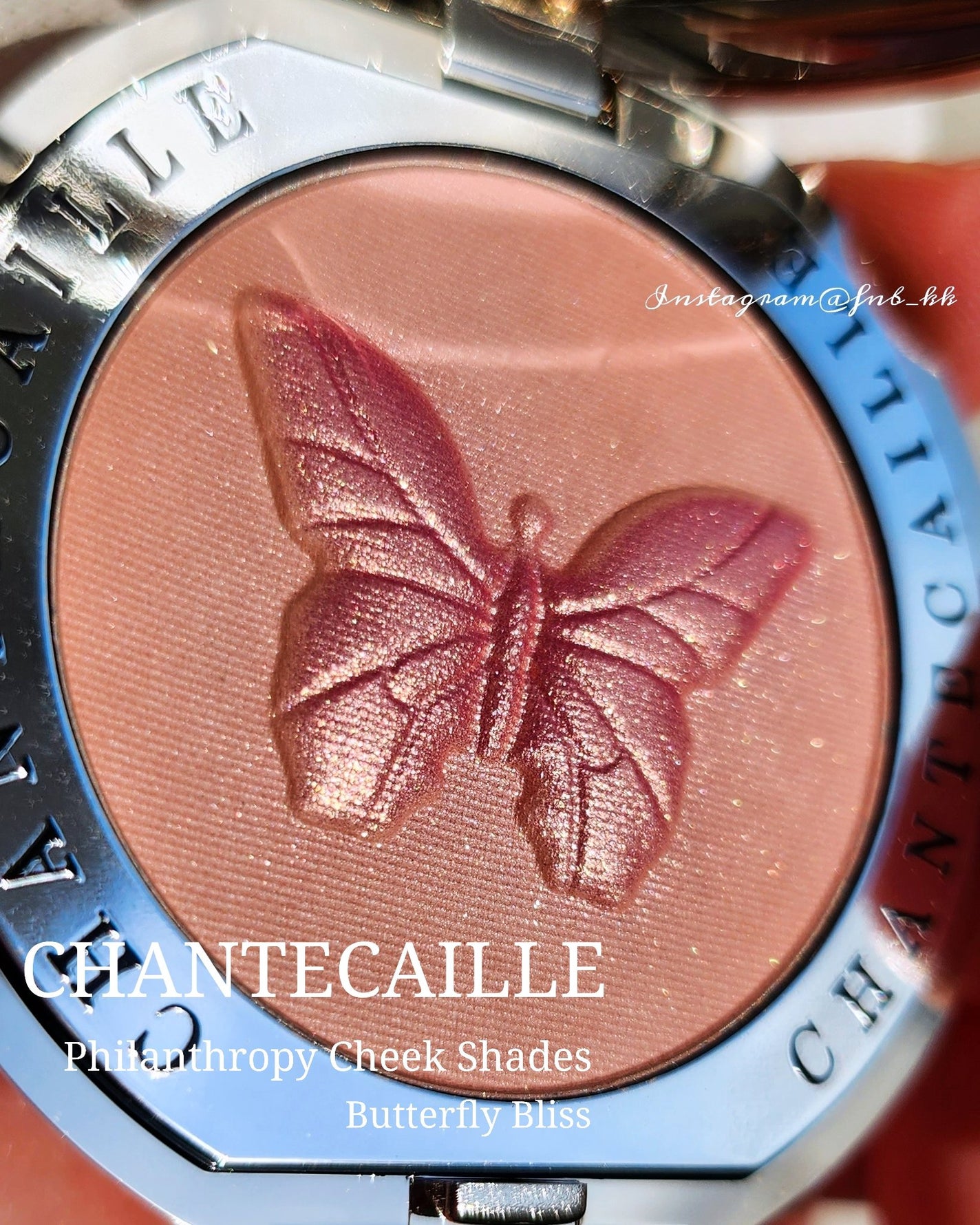 チーク シェイド/シャンテカイユ/パウダーチークを使ったクチコミ(1枚目)