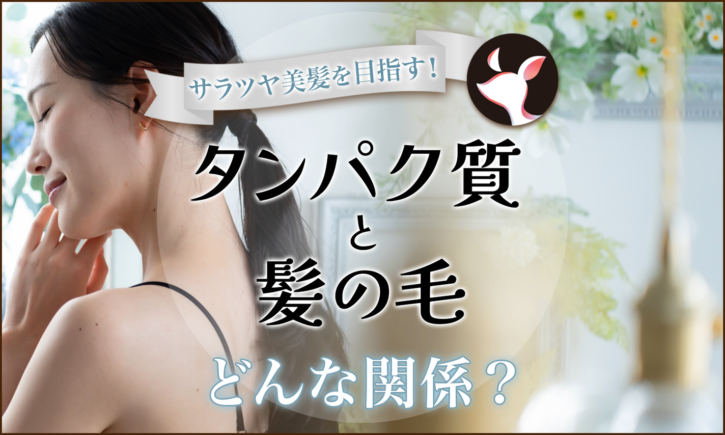 タンパク質の摂りすぎは髪の毛にどう影響する?プロテインは髪にいい?などの疑問を解決のサムネイル