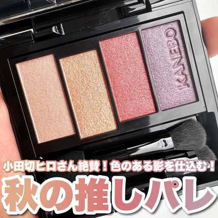 カラードシャドウ/KANEBO/アイシャドウパレットを使ったクチコミ(1枚目)