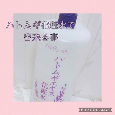 ハトムギ化粧水(ナチュリエ スキンコンディショナー R )/ナチュリエ/化粧水を使ったクチコミ（1枚目）