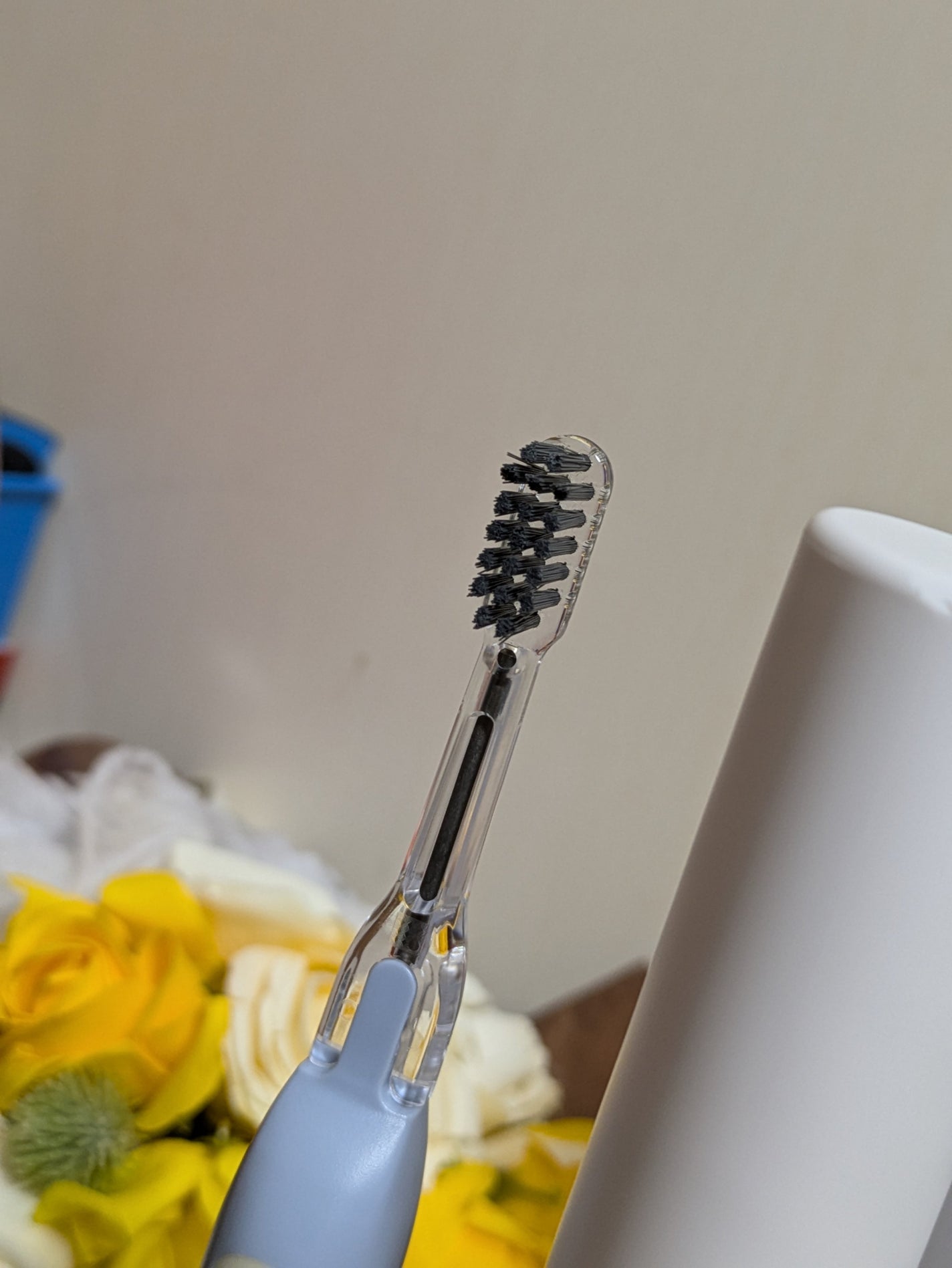 ハーブのハミガキジェル/ソラデー/歯磨き粉を使ったクチコミ(4枚目)