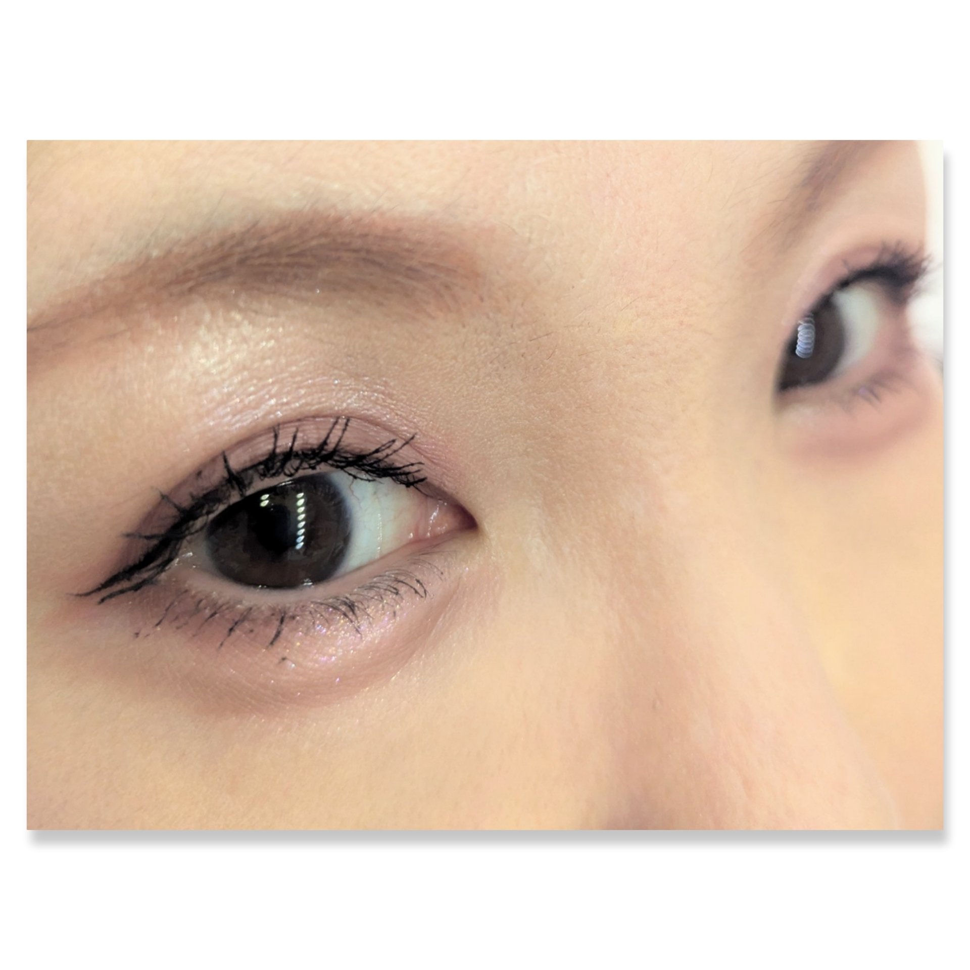 ベージュトーンアイシャドウ 05 ライラックベージュ/CEZANNE/アイシャドウパレットを使ったクチコミ（2枚目）