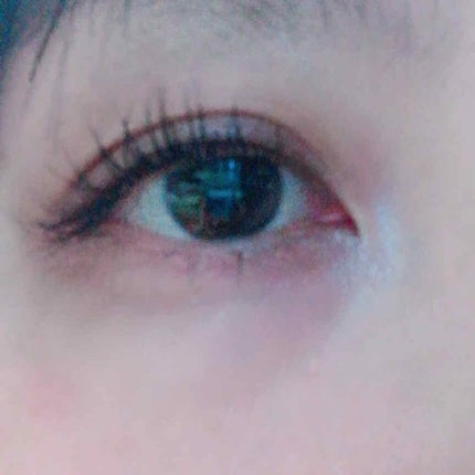 1DAY LASH UP シルキーボリュームマスカラa/K-パレット/マスカラを使ったクチコミ(3枚目)