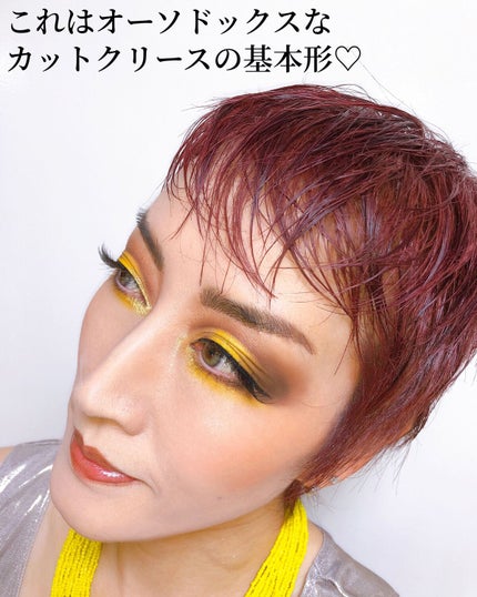 アート ライブラリー/M・A・C/アイシャドウパレットを使ったクチコミ(5枚目)