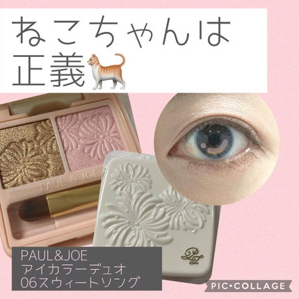 アイカラー デュオ/PAUL & JOE BEAUTE/アイシャドウパレットを使ったクチコミ(1枚目)