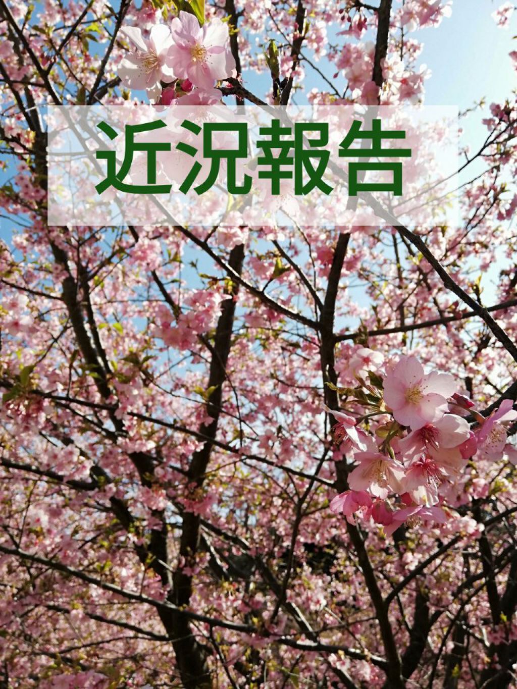 エッセンスマスク (ビタミンC)/クリアターン/シートマスク・パックを使ったクチコミ（1枚目）