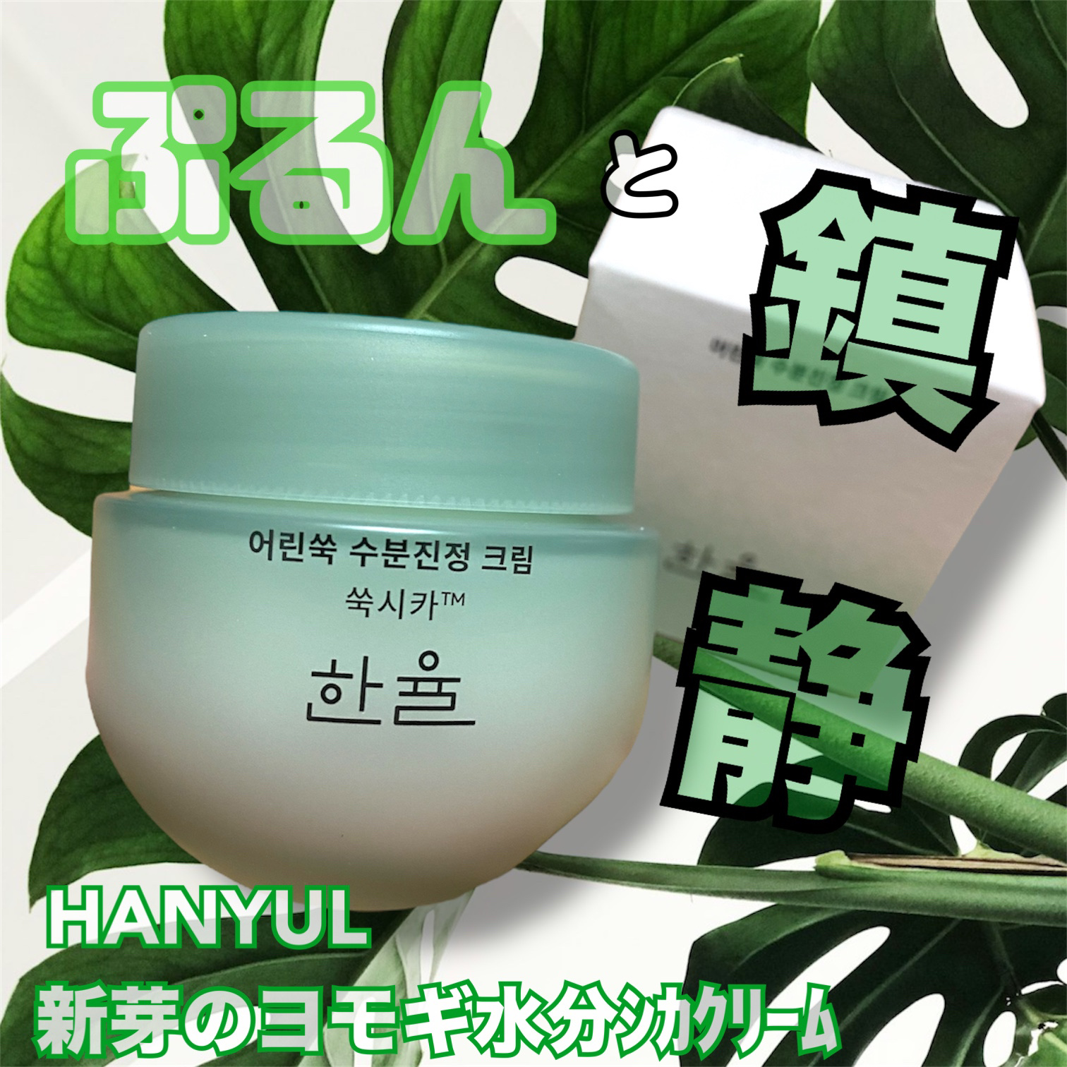 ピュアアルテミシア カーミングウォータークリーム/HANYUL(ハンユル)/フェイスクリームを使ったクチコミ（1枚目）