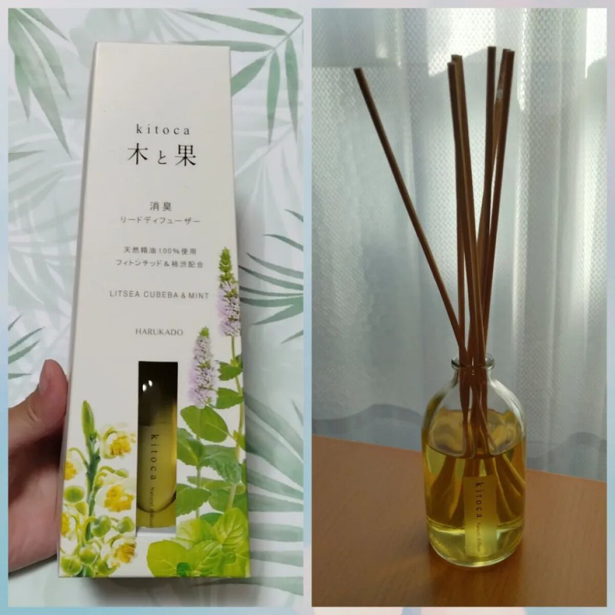消臭リードディフューザー/Kitoca　木と果/ルームフレグランスを使ったクチコミ（1枚目）