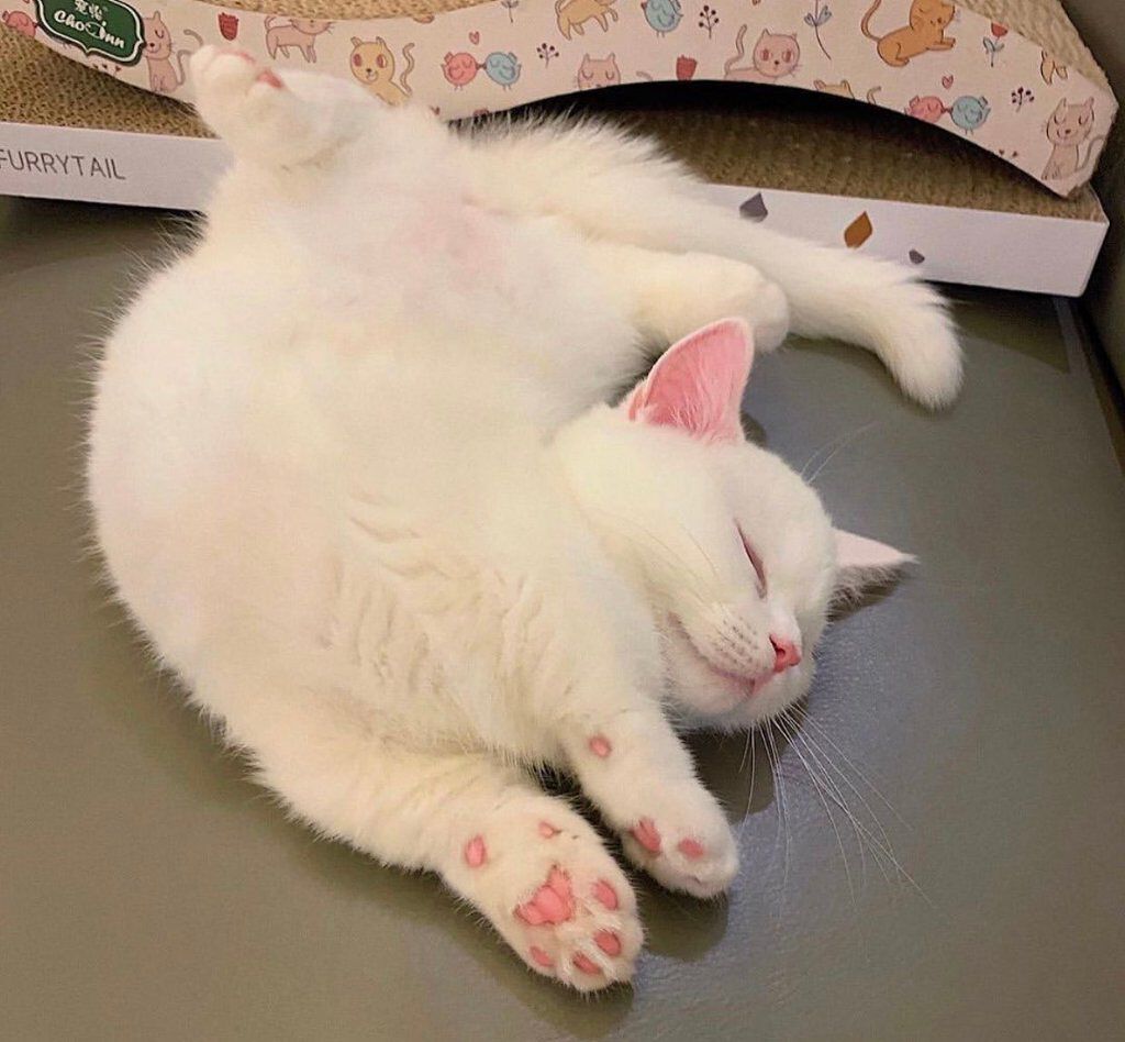 パーフェクトマルチアイズ/キャンメイク/アイシャドウパレットを使ったクチコミ（1枚目）