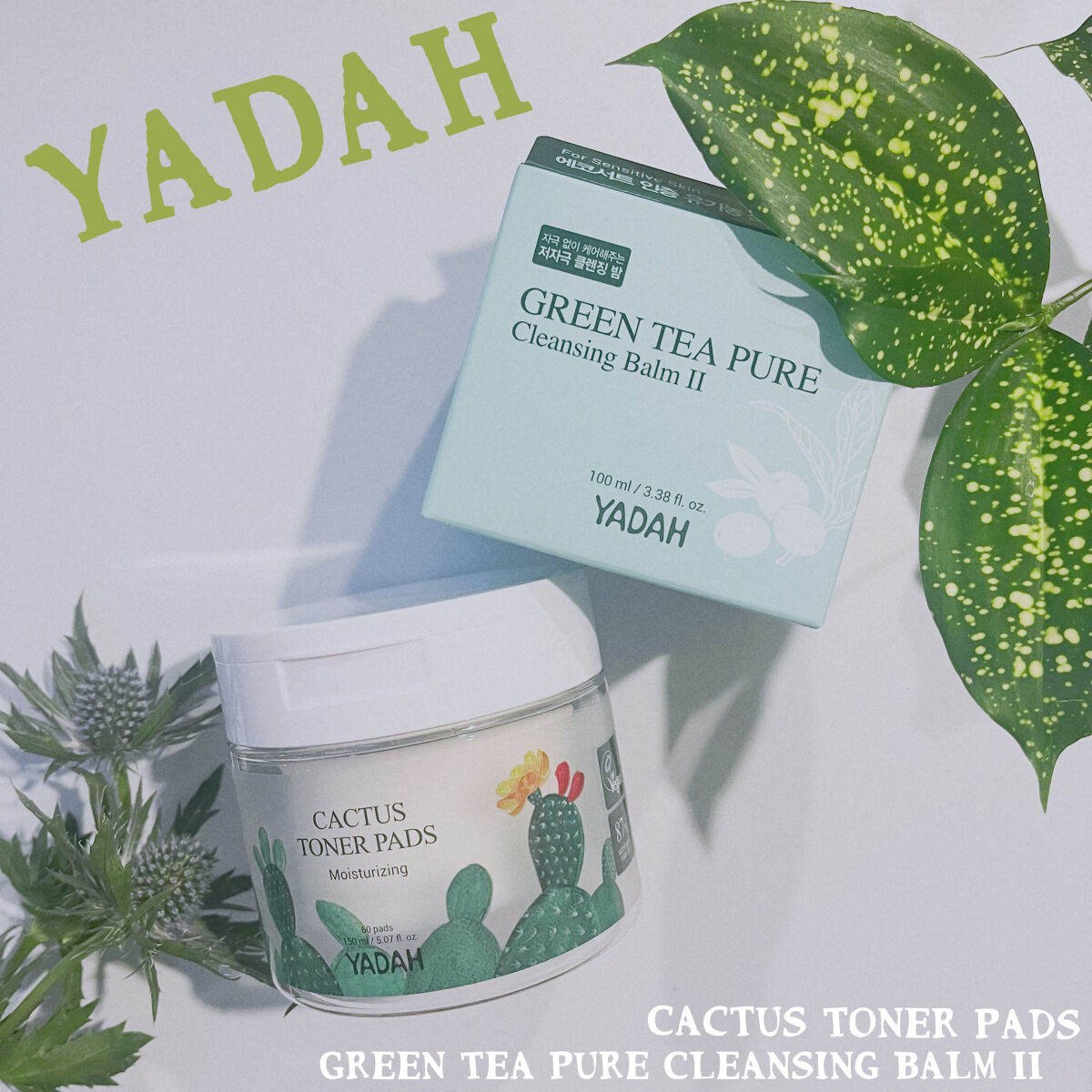 カクタストナーパッド/YADAH/トナーパッドを使ったクチコミ（1枚目）