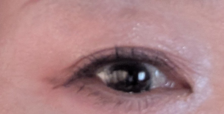 ムードオンアイシャドウ/Lilytone/アイシャドウパレットを使ったクチコミ（2枚目）