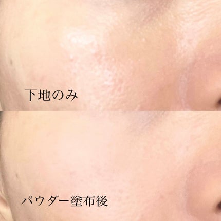 シルキールースモイストパウダー/キャンメイク/ルースパウダーを使ったクチコミ(5枚目)