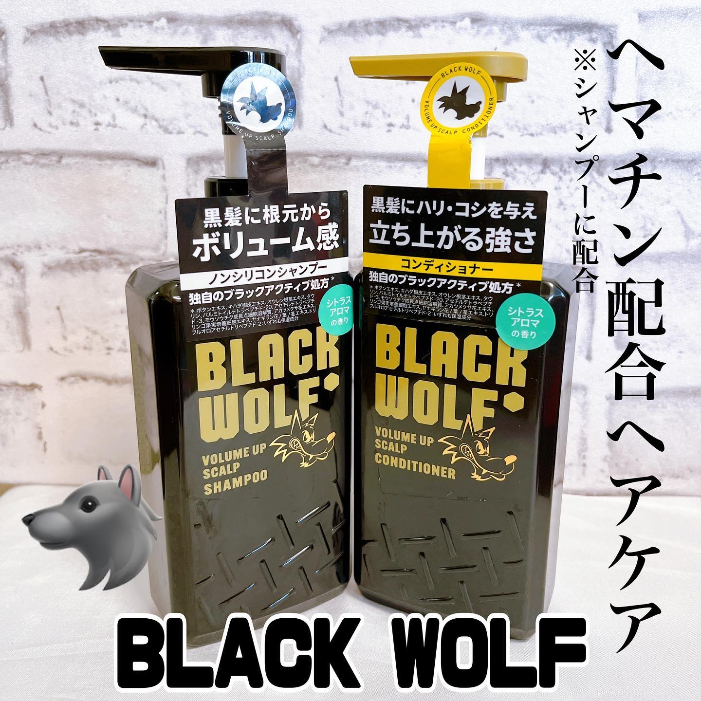 大正製薬 ブラックウルフ ボリュームアップ スカルプコンディショナーのクチコミ「いつもありがとうございます💖
InstagramストーリーではSALE情報や、
プレゼントキャ.....」（1枚目）
