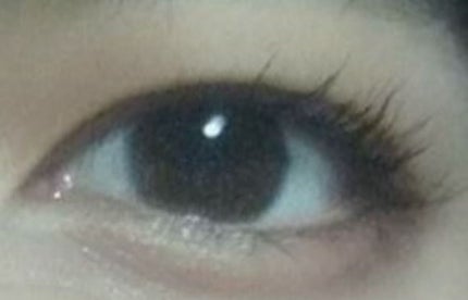 ラッシュエキスパンダー ロングロングロング/MAJOLICA MAJORCA/マスカラを使ったクチコミ(4枚目)