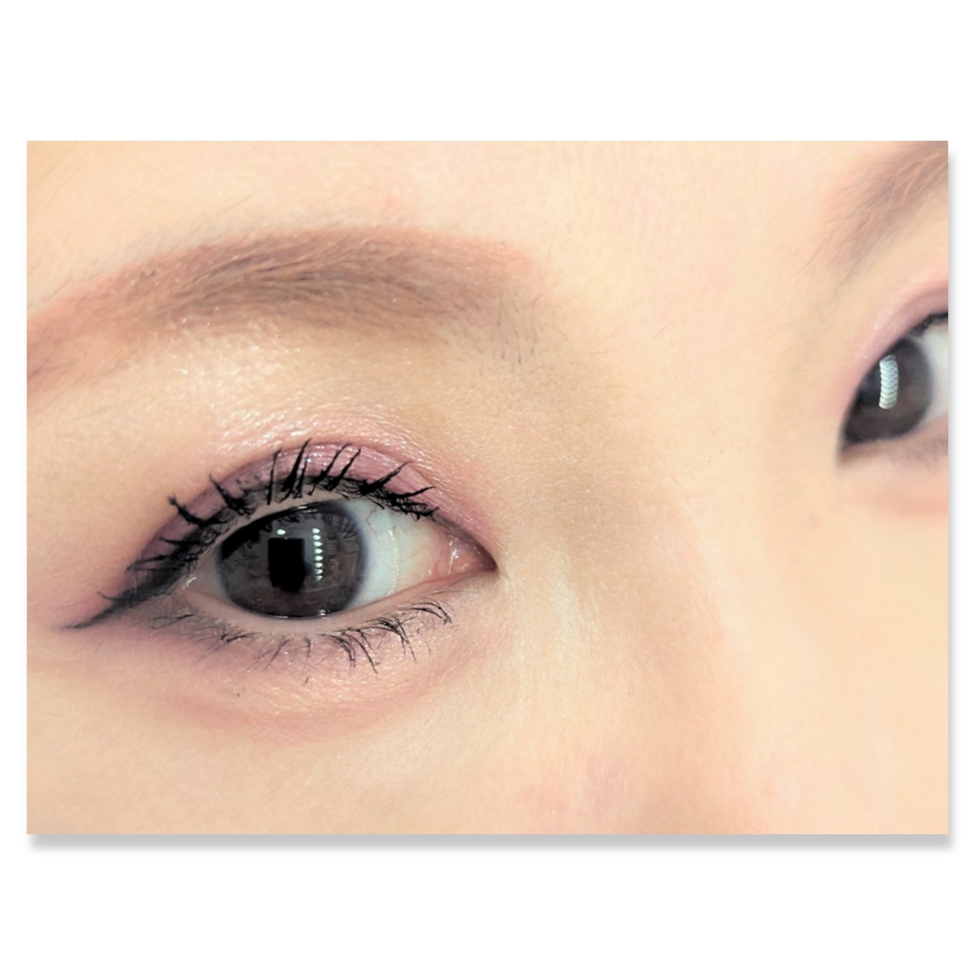 シャドーカスタマイズ/MAJOLICA MAJORCA/単色アイシャドウを使ったクチコミ（2枚目）