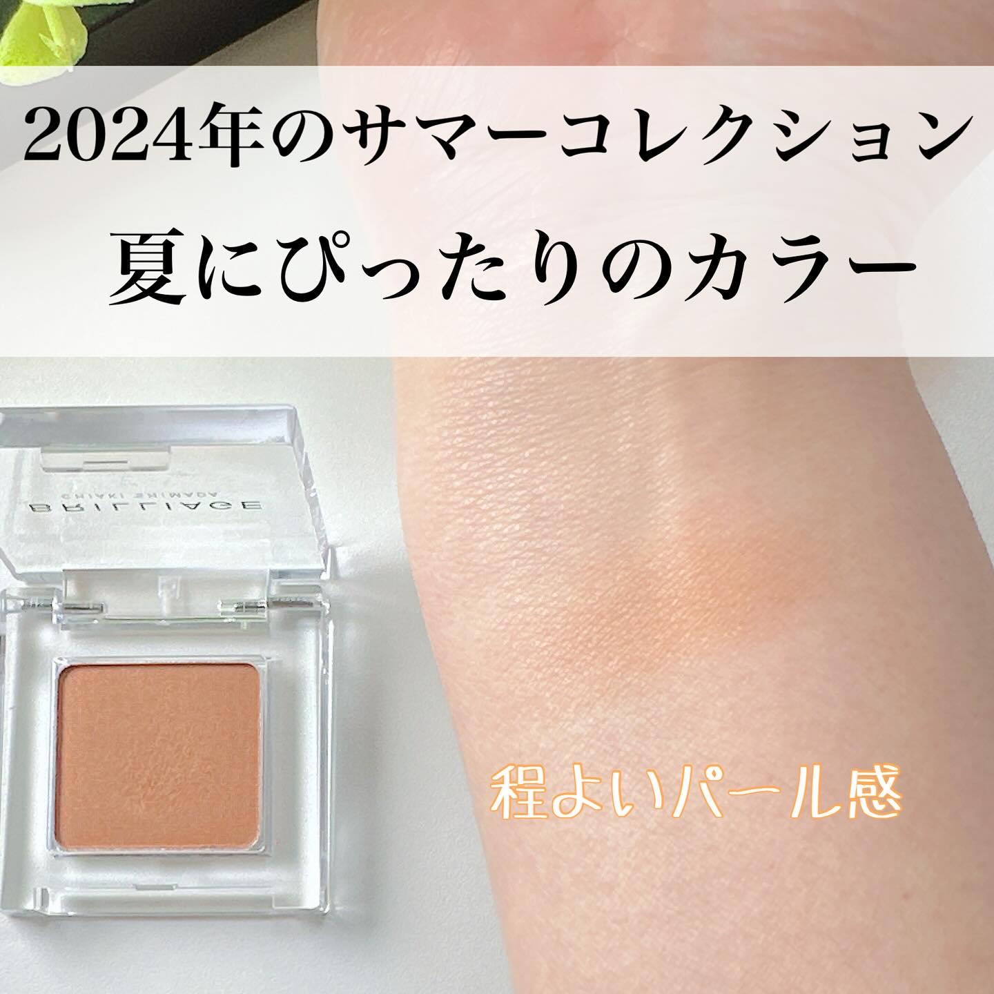 ワンダークリエイション フィキシングプライマー/ブリリアージュ/ジェル・クリームアイシャドウを使ったクチコミ（3枚目）