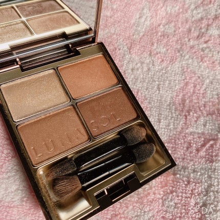 スキンモデリングアイズ/LUNASOL/アイシャドウパレットを使ったクチコミ(2枚目)