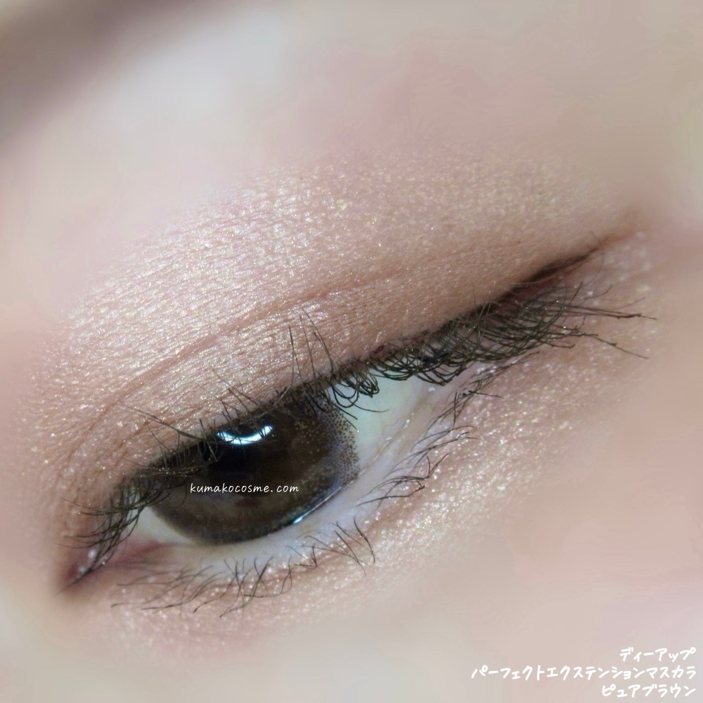 パーフェクトエクステンション マスカラ/D-UP/マスカラを使ったクチコミ(7枚目)