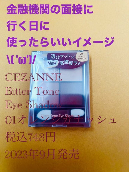 ビタートーンアイシャドウ/CEZANNE/パウダーアイシャドウを使ったクチコミ(3枚目)