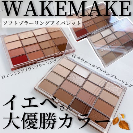 ソフトブラーリングアイパレット/wakemake/アイシャドウパレットを使ったクチコミ(1枚目)