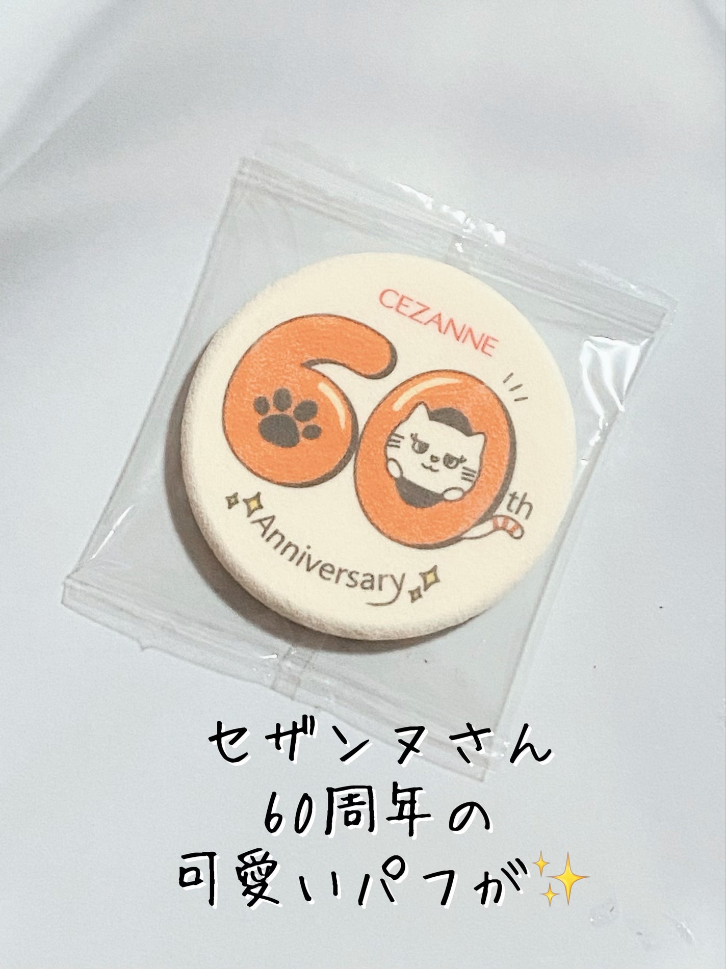 セザンヌメイト/CEZANNE/書籍を使ったクチコミ(2枚目)