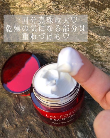 ananamargaret on LIPS 「乳酸菌生まれの化粧品、ラクトデュウS.E.クリーム💕使用してみ..」（3枚目）