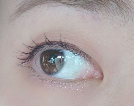 ヒートアイラッシュカーラー/DAISO/ホットビューラーを使ったクチコミ(2枚目)