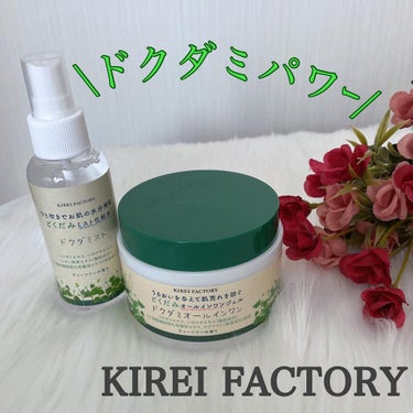 どくだみオールインワンジェル/KIREI FACTORY/オールインワン化粧品を使ったクチコミ（1枚目）